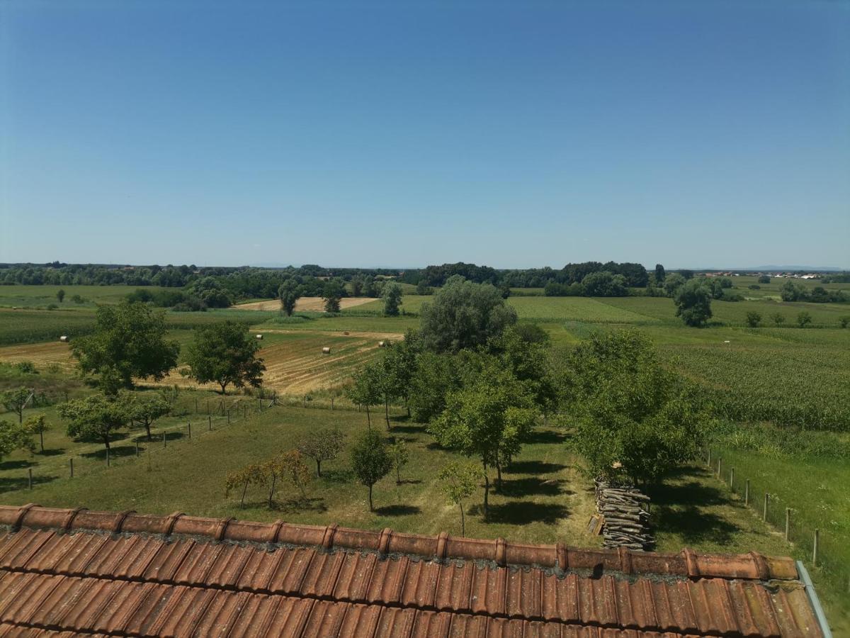 Apartamento Sipa