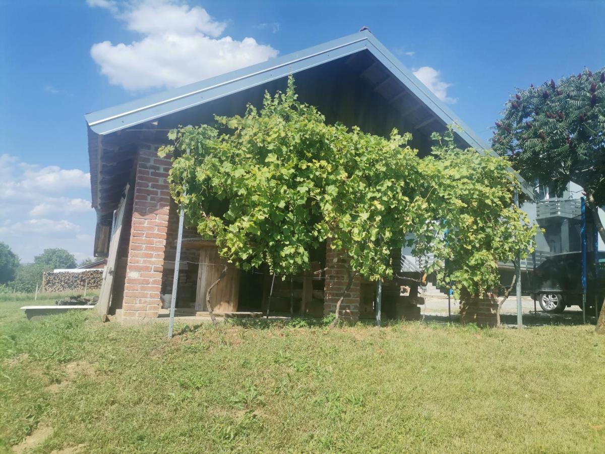 Apartamento Sipa